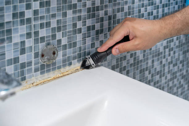 Best Mold Cleaning Services  in Denver, CO